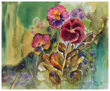 Pansies Watercolour 10'' x 12''   www.Naomi-White.co.uk