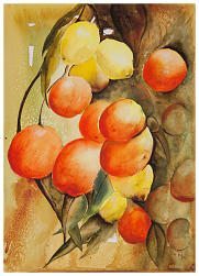 Oranges and Lemons Watercolour 15'' x 11''    www.Naomi-White.co.uk