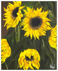 Provence Sunflowers Oils 