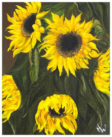 Provence Sunflowers Oils 